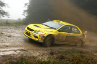 redkite08_car001f