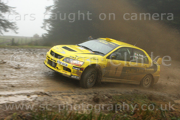 redkite08_car001f