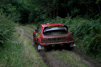 car001g