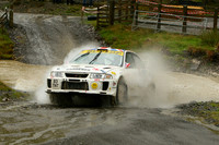 billgwynne06_car001g