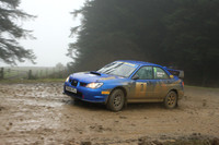 redkite08_car003e
