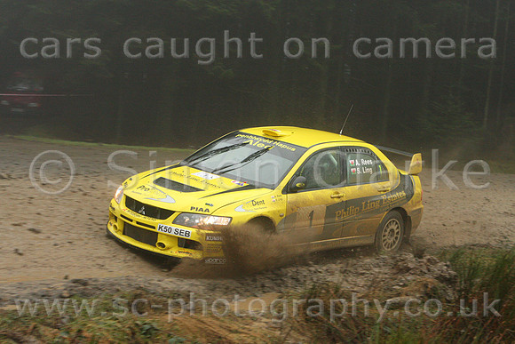 redkite08_car001e