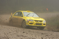 redkite08_car001c