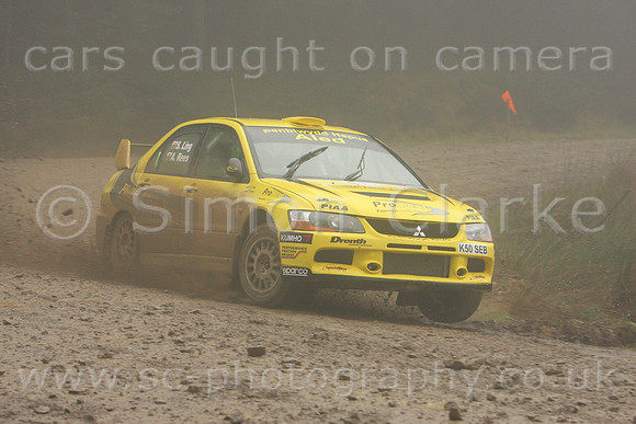 redkite08_car001c