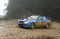 redkite08_car003d