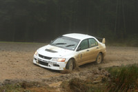 redkite08_car005c