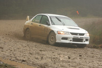 redkite08_car005b