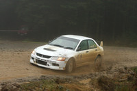 redkite08_car005d