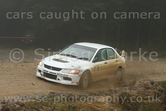 redkite08_car005d