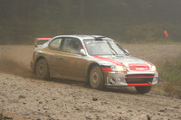 redkite08_car004b