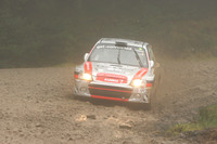 redkite08_car004a