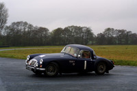01-YF2_9884