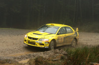 redkite08_car001d