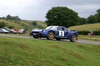 car003g