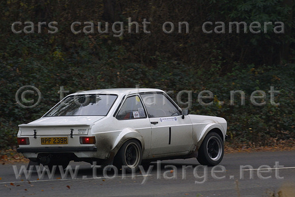 01-OD1_9578