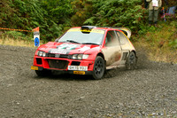 plains07_car002d