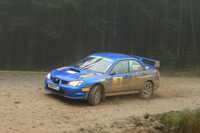redkite08_car003c